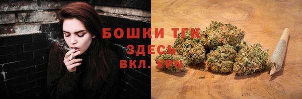 молекула духа Богородск