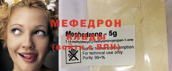 гидра Богородицк