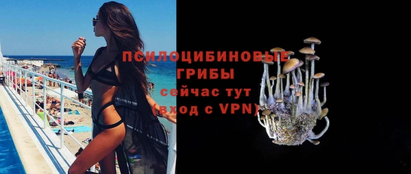 мдма Бородино