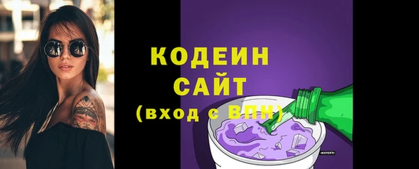 гидра Богородицк