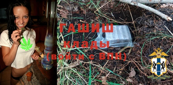 гидра Богородицк