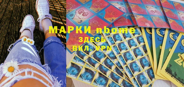 гидра Богородицк